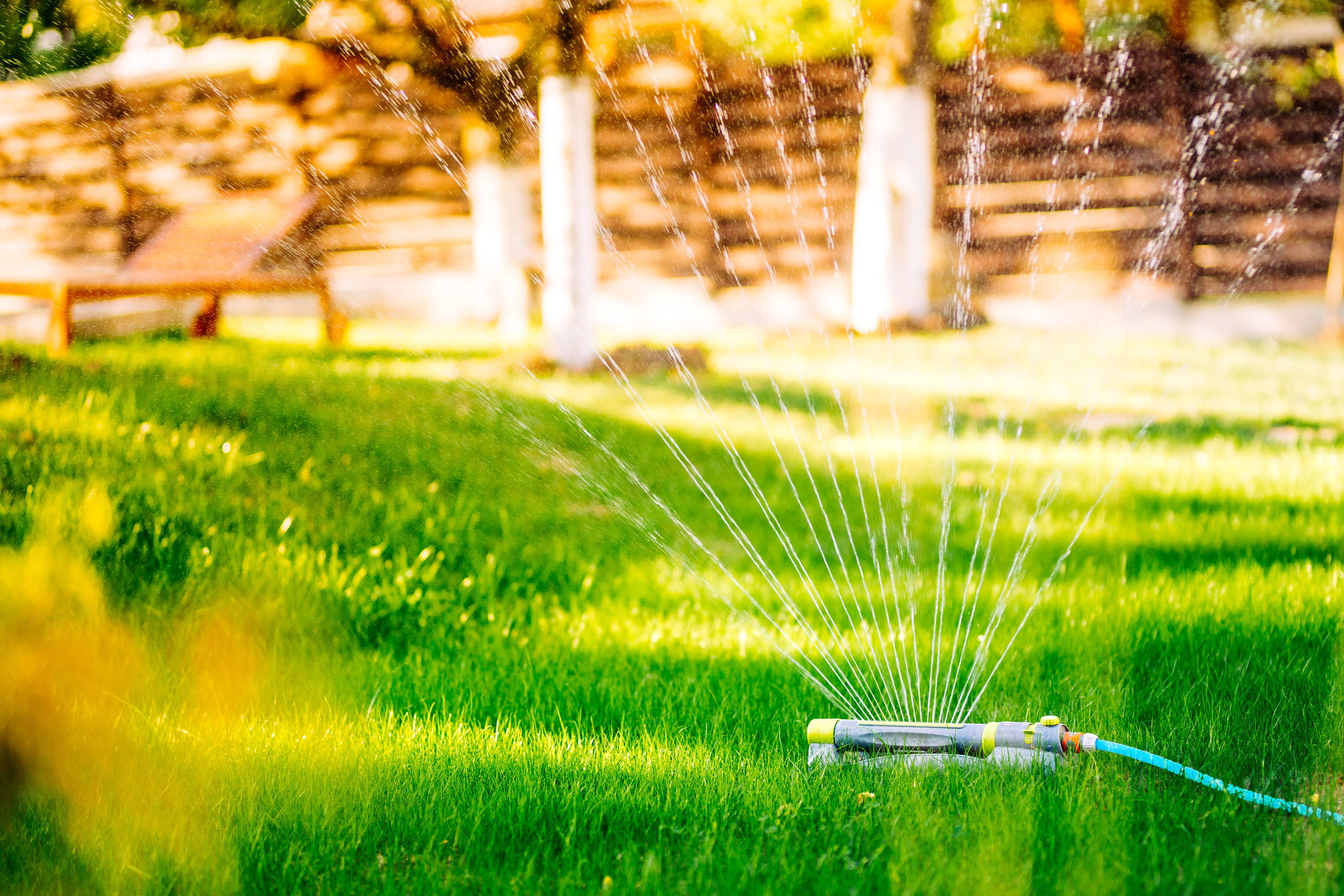 Lawn water sprinkler watering lawn green fresh grass in backyard
